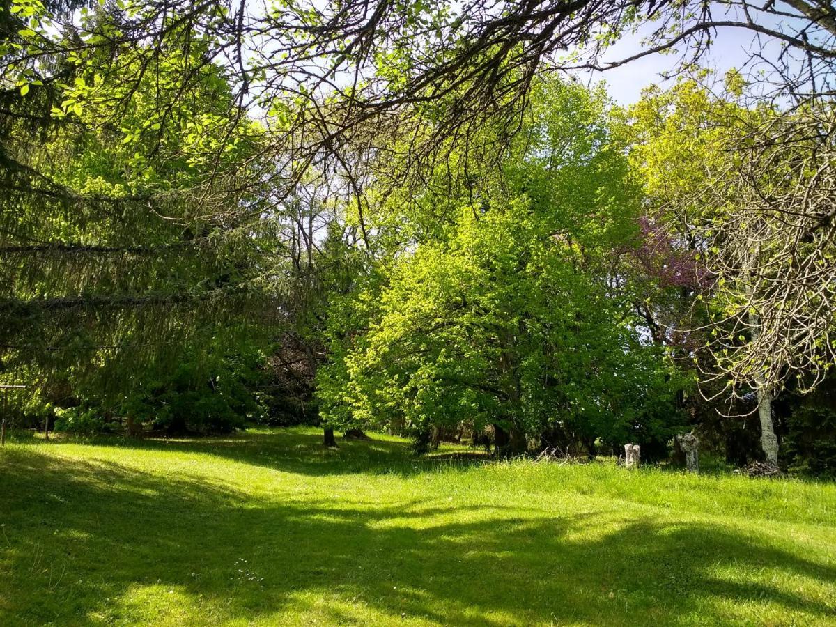 Pyrenees Vue Gite - Vues Fantastique, Parking Gratuit Sur Place & Piscine Saint Gaudens Exteriér fotografie